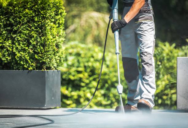 Best Animal Enclosure Cleaning  in Salisbury, NY
